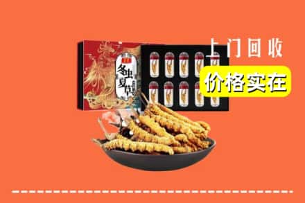 株洲醴陵市回收冬虫夏草