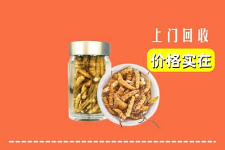 株洲醴陵市回收散虫草