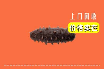 株洲醴陵市回收海参