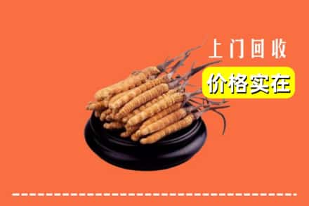 株洲醴陵市回收冬虫夏草