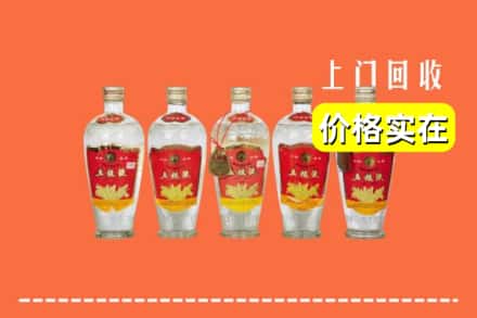 诚信求购:株洲醴陵市高价回收老五粮液
